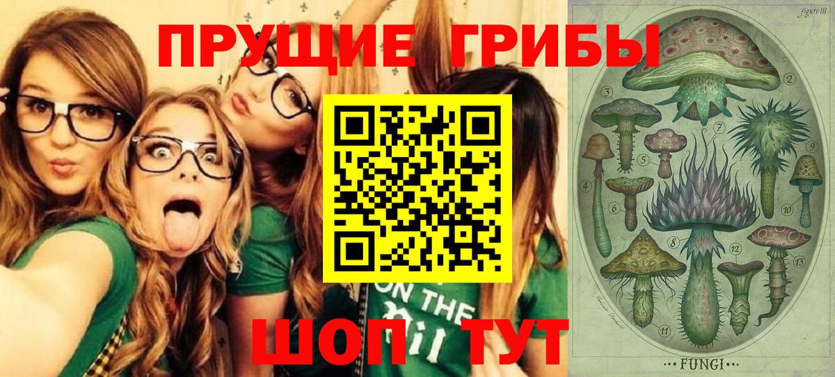 Галлюциногенные грибы Cubensis Дальнереченск