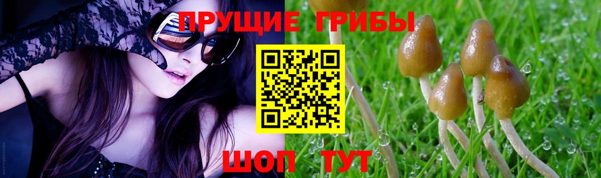 Дальнереченск  купить наркотик  Вход с VPN  Псилоцибиновые грибы Cubensis 